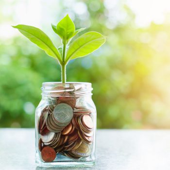 Ahorro a Plazo Fijo Cooperativa Credecoop