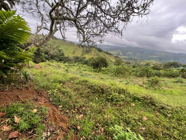 La Fortuna.2