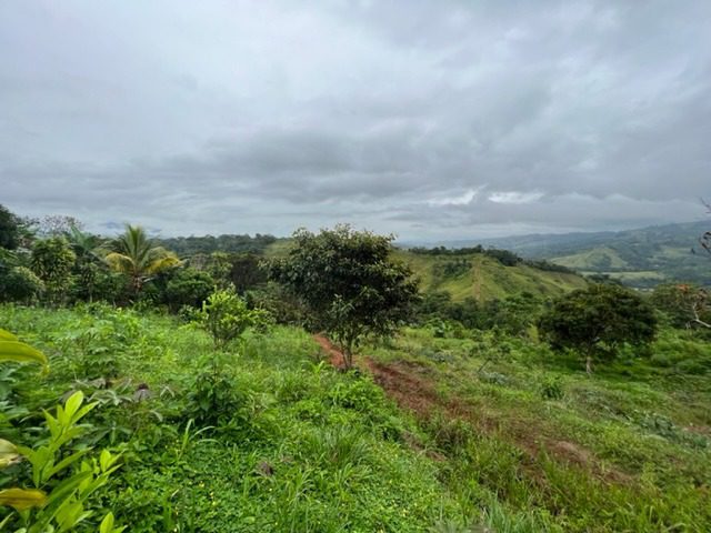 La Fortuna.3