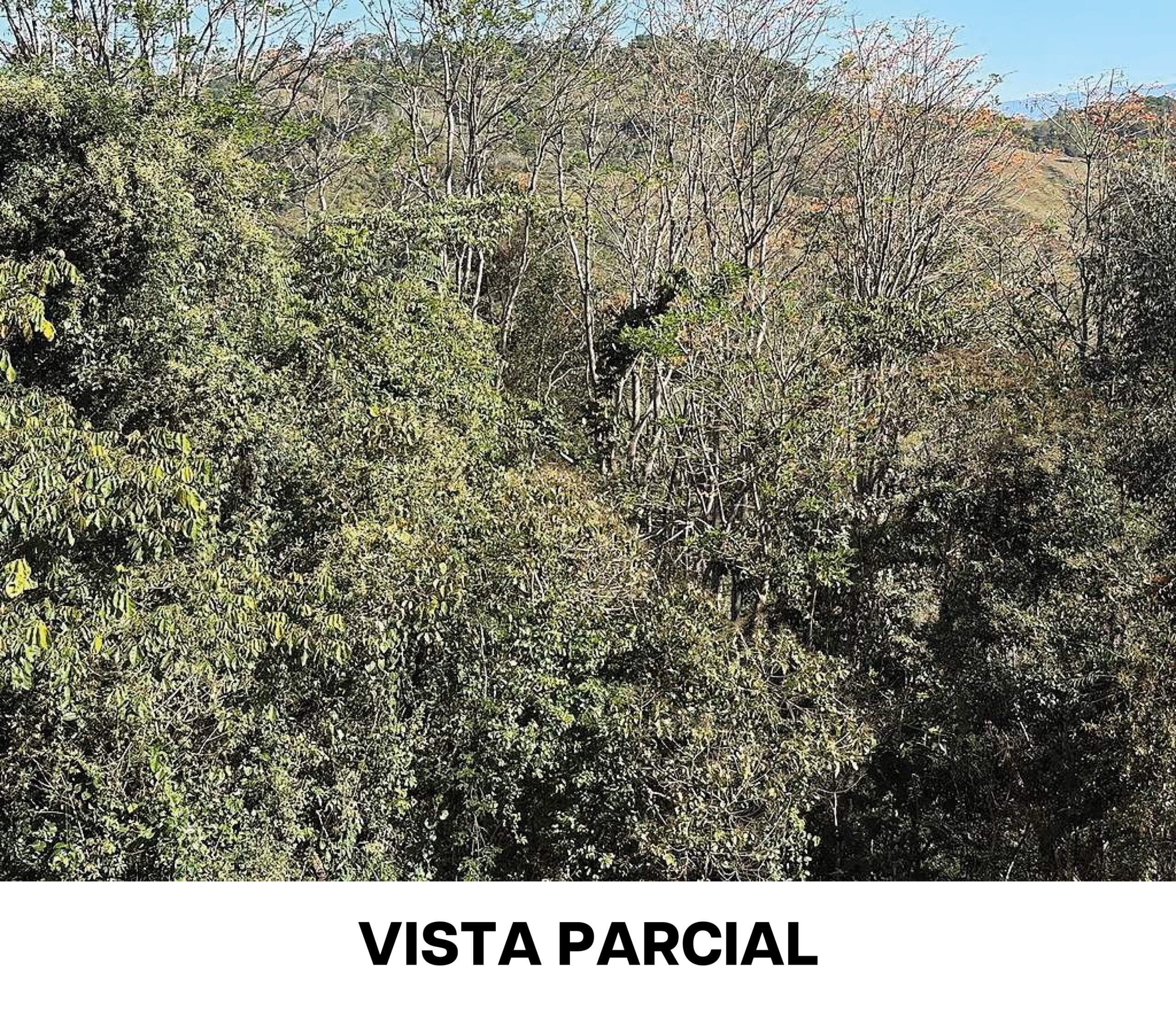 Propiedad La Suiza-03.jpg