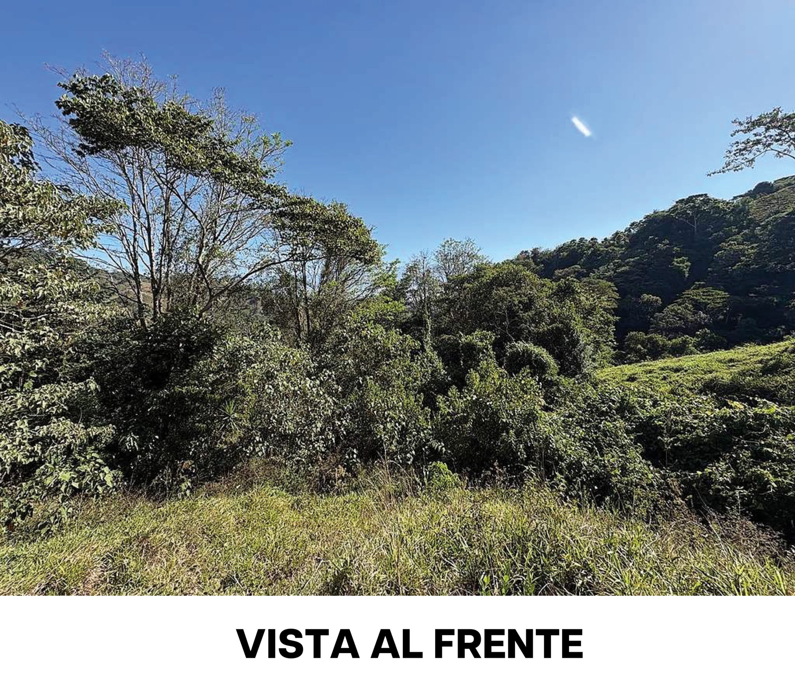 Propiedad La Suiza_Mesa de trabajo 1 copia.jpg