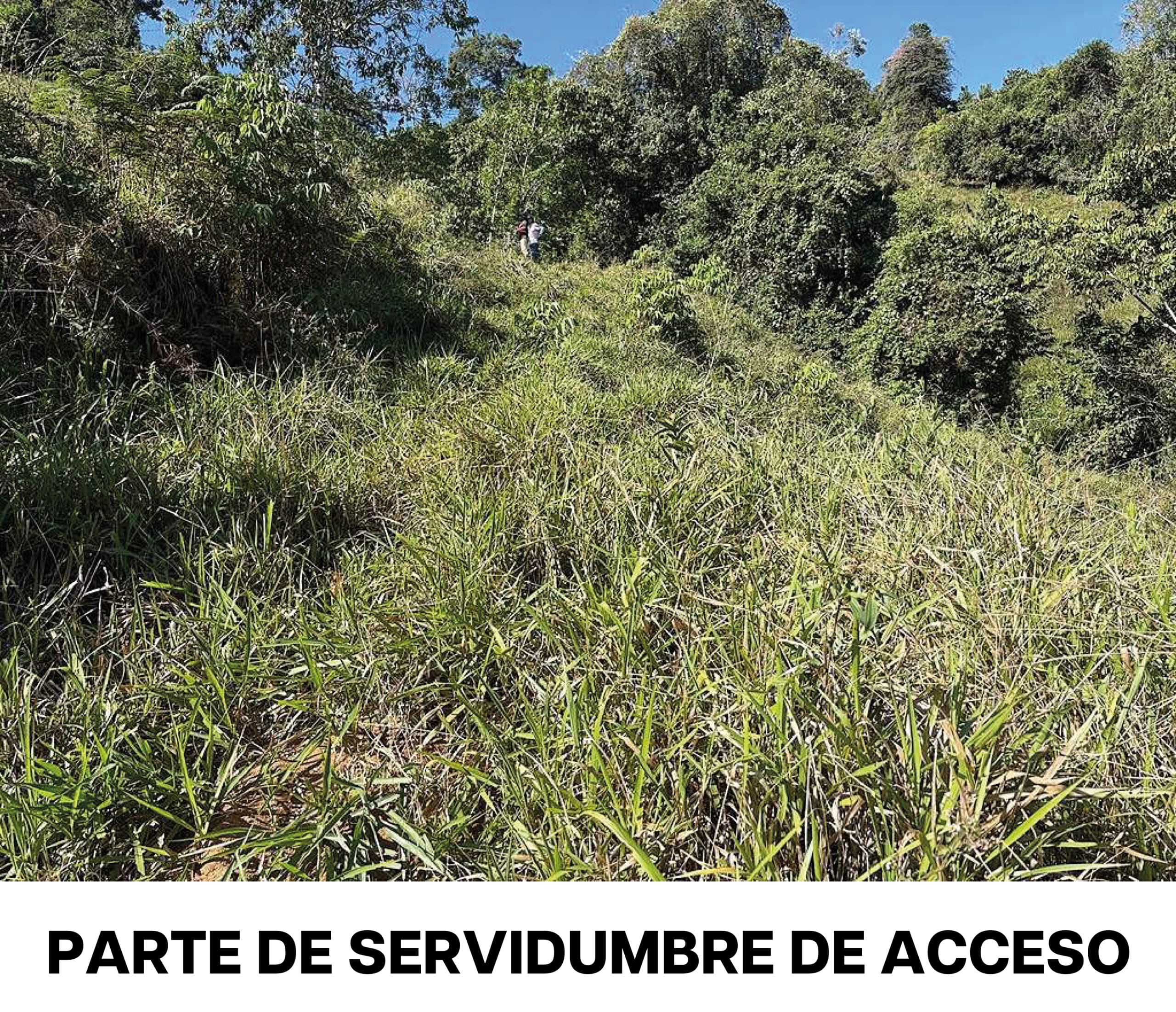 Propiedad La Suiza_Mesa de trabajo 1.jpg